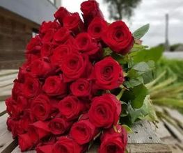 Jour de Roses image 13
