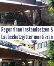 Laubschutzgitter