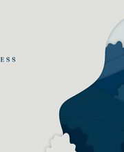 Bauchspiess Consulting Bild 1