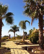 Eco- Finca Vistabonita imagen 11