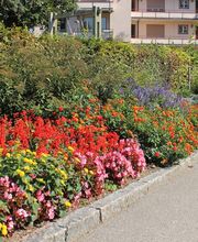 Käser Gartenbau AG Bild 9