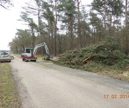 Boomverzorging Bouwmeester