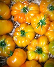 CHRISTEN DELICATESSEN Bild 10