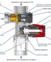 Ben's image 12