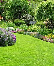 csm_gartenpflege_6884567_800_303f9b9c82.jpg