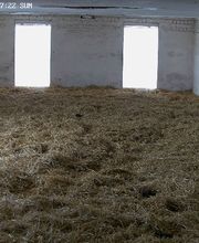 SiLu-Ranch Eickendorf Bild 3