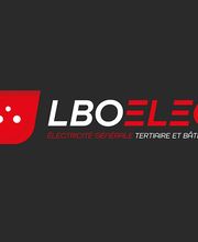 Lbo Elec image 6