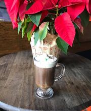 Bobcat Teddy's Icehouse image 4