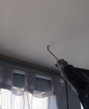 Bresse Nuisibles image 8