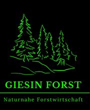 Giesin Forst Bild 2