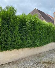 Pinto Manuel image 3