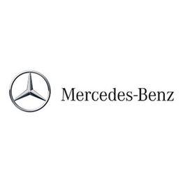 Mercedes Benz Lupo Giuseppe Srl logo