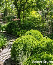 Die Wühlmäuse Frohs eK Bild 3