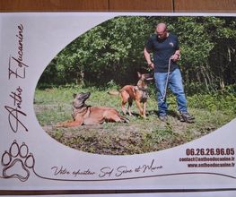 Antho Educanine image 6