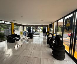 Michelin Car Service Eurollantas Suc. Carranza imagen 5