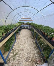 HPS Négoloc image 3