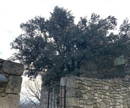 LB Paysage image 10