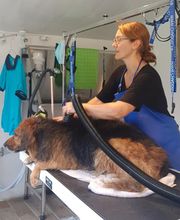 OCEAN TOILETTAGE image 4