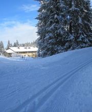 Perrier Estelle image 7