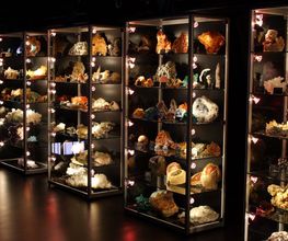 Welt der Kristalle Museum & Shop Bild 4