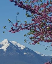 Estadieu Ingrid image 1