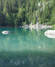 Régis Brunel E.I image 5