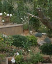 C.Provence paysage image 11
