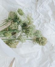 Fleurs du Coeur Bild 11