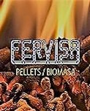logo-Fervisa.jpg