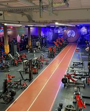 David Gym ZH-West Bild 7