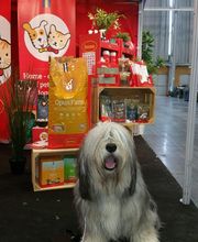 Husse image 1