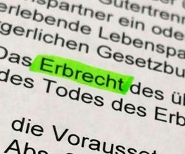 Ines Ander Bild 3