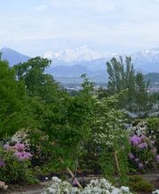 Pascal Olivier Architecte paysagiste conseils Bild 13