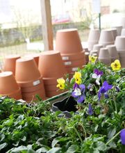 natera - Villefranche de Panat image 1