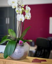 OBING PHYSIO Rainer König Bild 7