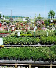 Andrea Wölfle Garten- und Landschaftsbau