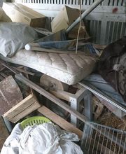 Fred débarras dans toute la Bretagne image 6