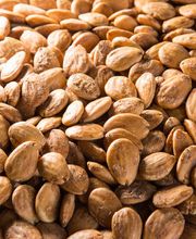 Gallery Professionale