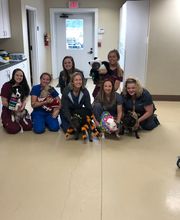 Riverbank Animal Hospital image 6