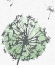 Meuric Gaelle image 3