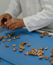 Les Vergers de Pialard image 6