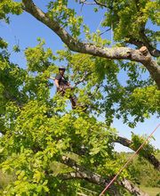 Tachet Pierre-Hubert image 11