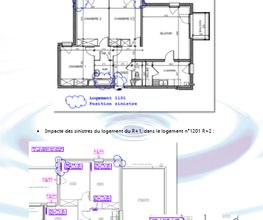 France detection image 6