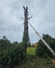 Bouche Nicolas image 3