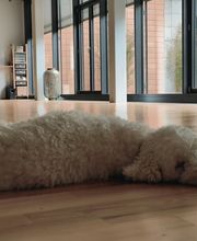 Yoga & Pilateszentrale, Caroline Gumbiller Bild 1