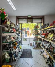 Maison Roussel SARL image 6