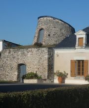 Papin Anthony EARL image 4