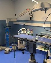 Clinique Vétérinaire Centre Vet image 2