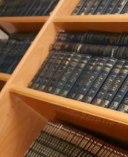 Foret Aurélia image 1