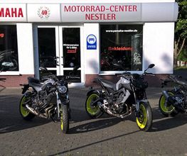 Yamaha Nestler Bild 1